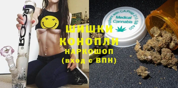 spice Аркадак