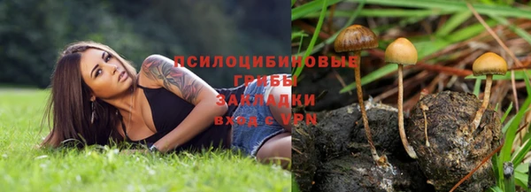 тгк Балахна