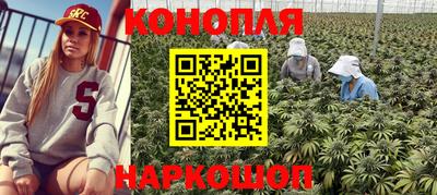 тгк Моздок