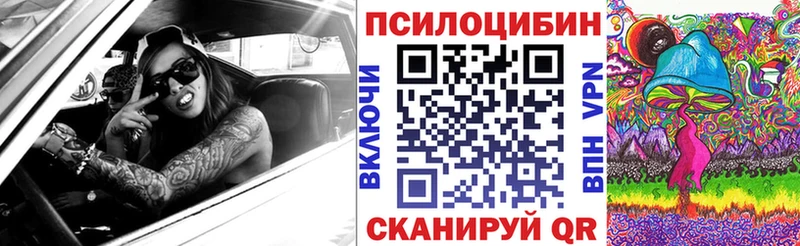 мега как зайти  Спасск-Дальний  Галлюциногенные грибы прущие грибы  наркотики 