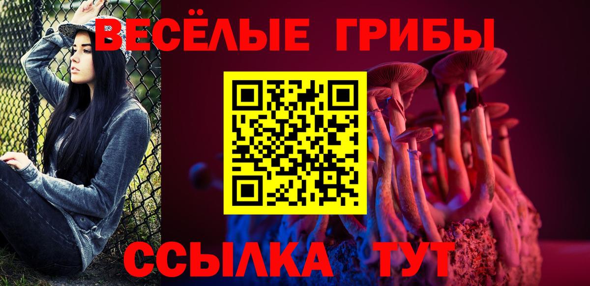 Спасск-Дальний  купить наркотики сайты  Вход с VPN  Псилоцибиновые грибы мухоморы 