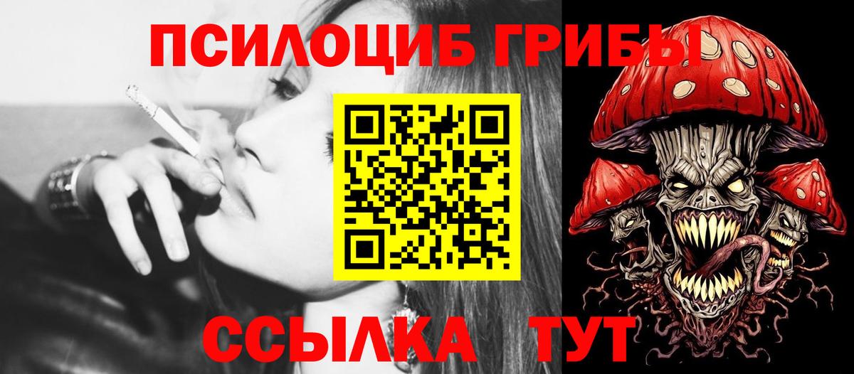 Галлюциногенные грибы Psilocybine cubensis Спасск-Дальний